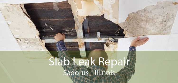 Slab Leak Repair Sadorus - Illinois