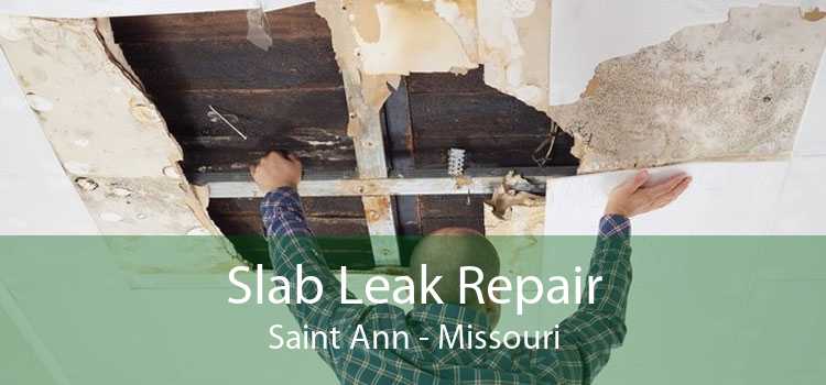 Slab Leak Repair Saint Ann - Missouri