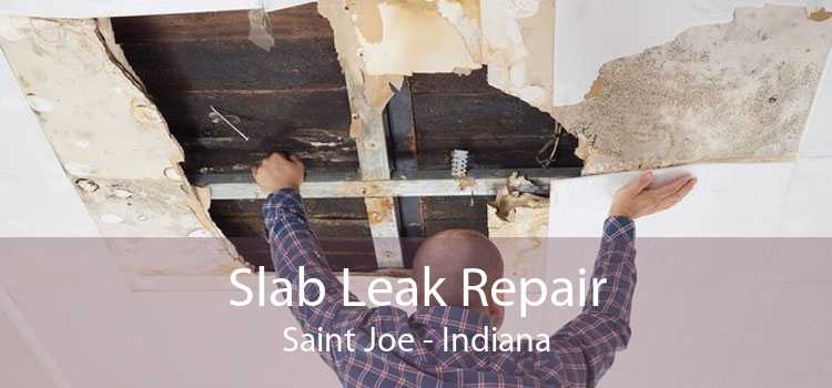 Slab Leak Repair Saint Joe - Indiana