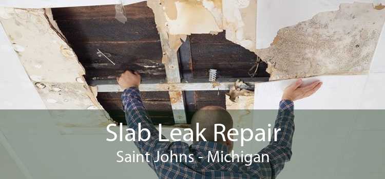 Slab Leak Repair Saint Johns - Michigan