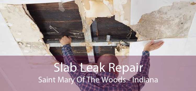 Slab Leak Repair Saint Mary Of The Woods - Indiana