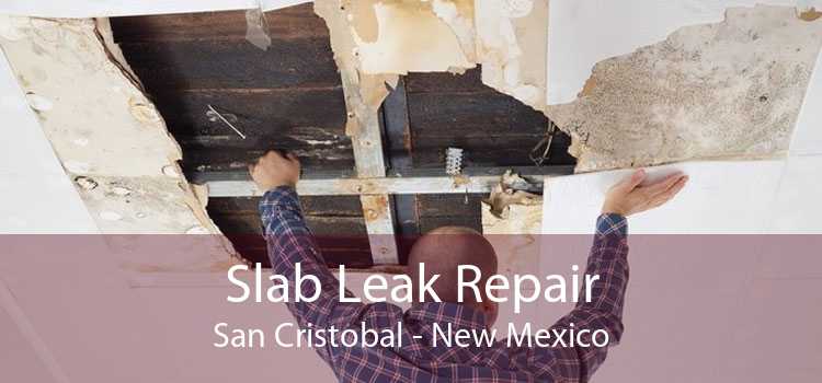 Slab Leak Repair San Cristobal - New Mexico