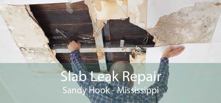 Slab Leak Repair Sandy Hook - Mississippi
