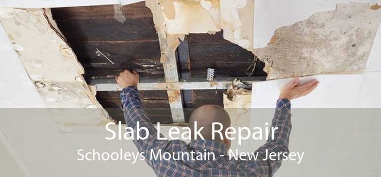 Slab Leak Repair Schooleys Mountain - New Jersey