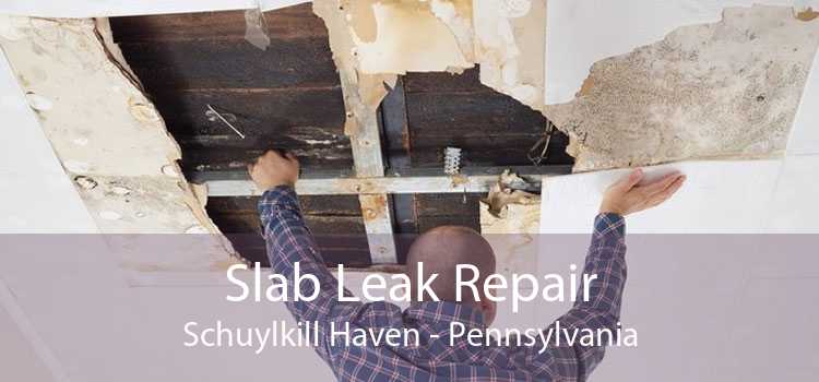 Slab Leak Repair Schuylkill Haven - Pennsylvania