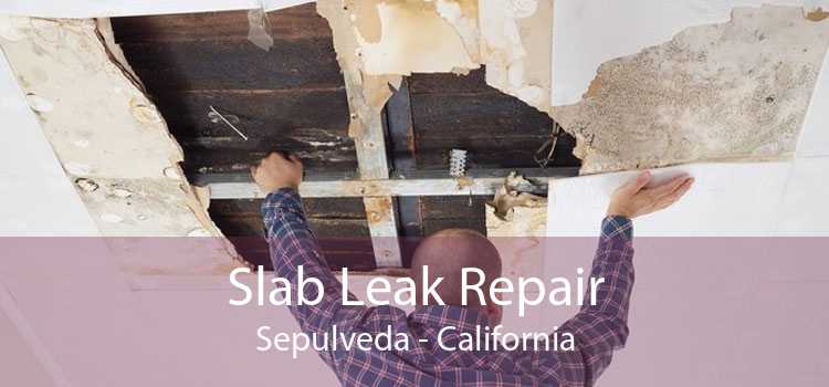 Slab Leak Repair Sepulveda - California