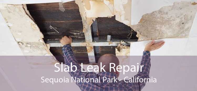 Slab Leak Repair Sequoia National Park - California