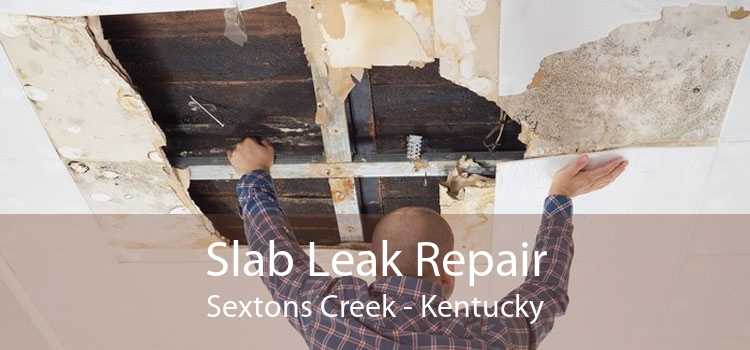 Slab Leak Repair Sextons Creek - Kentucky