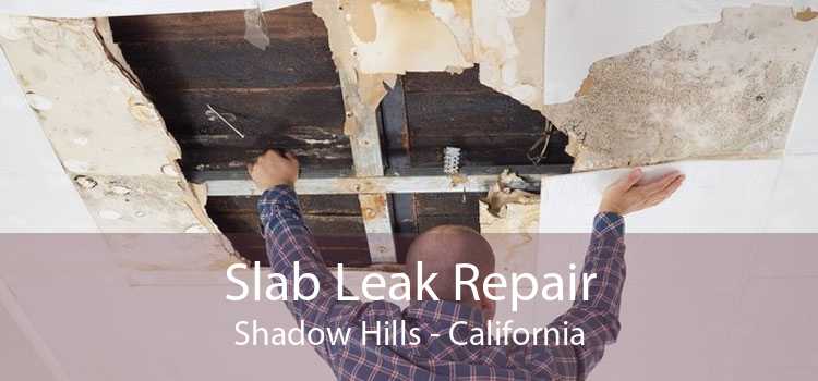 Slab Leak Repair Shadow Hills - California