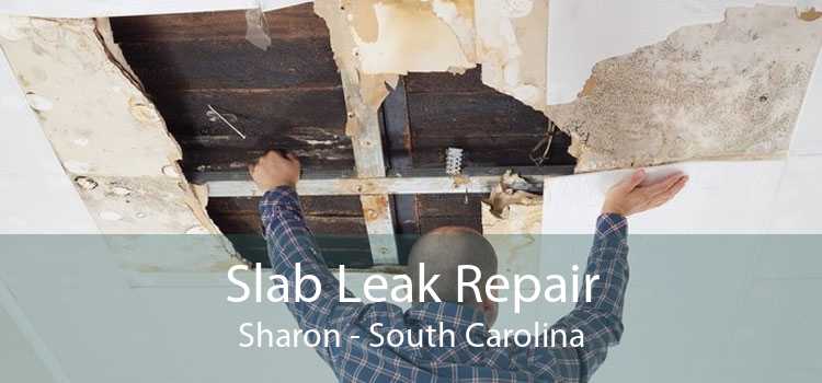 Slab Leak Repair Sharon - South Carolina