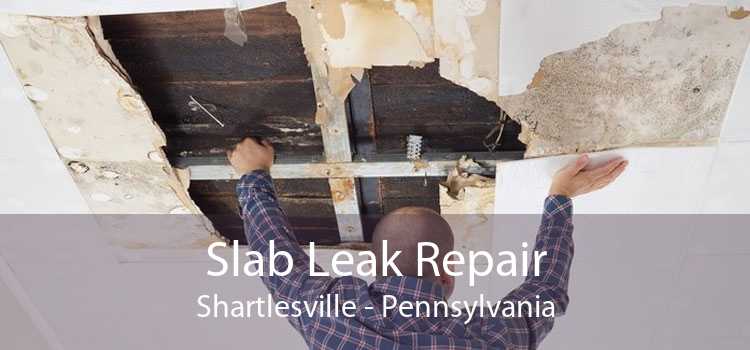 Slab Leak Repair Shartlesville - Pennsylvania