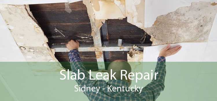 Slab Leak Repair Sidney - Kentucky