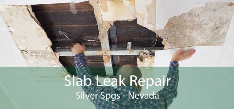Slab Leak Repair Silver Spgs - Nevada
