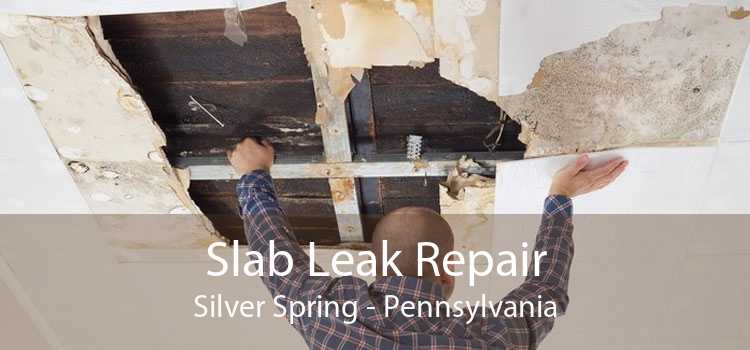 Slab Leak Repair Silver Spring - Pennsylvania
