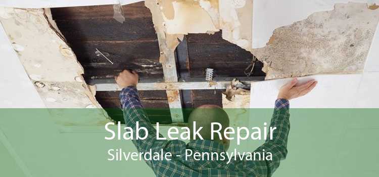 Slab Leak Repair Silverdale - Pennsylvania