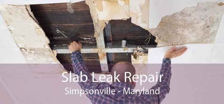 Slab Leak Repair Simpsonville - Maryland