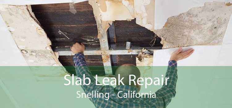 Slab Leak Repair Snelling - California