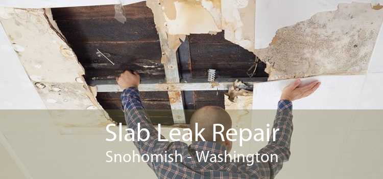 Slab Leak Repair Snohomish - Washington