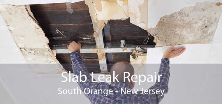 Slab Leak Repair South Orange - New Jersey