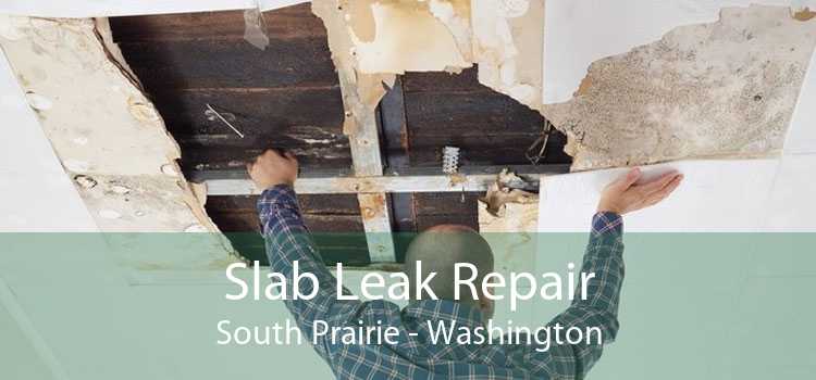 Slab Leak Repair South Prairie - Washington