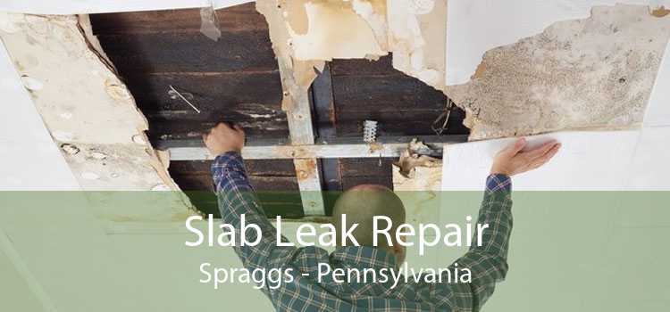 Slab Leak Repair Spraggs - Pennsylvania