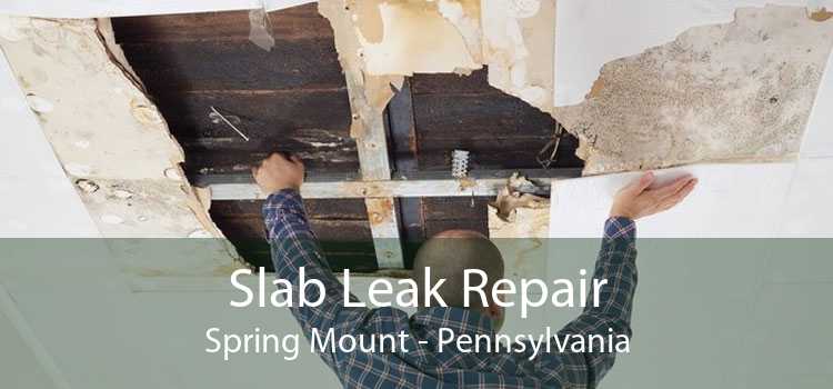 Slab Leak Repair Spring Mount - Pennsylvania