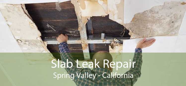 Slab Leak Repair Spring Valley - California