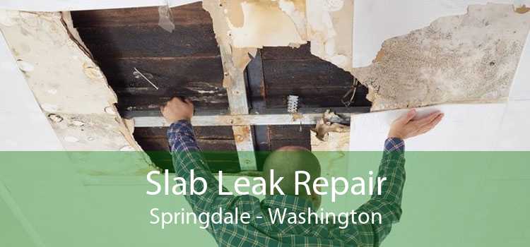 Slab Leak Repair Springdale - Washington