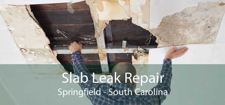 Slab Leak Repair Springfield - South Carolina