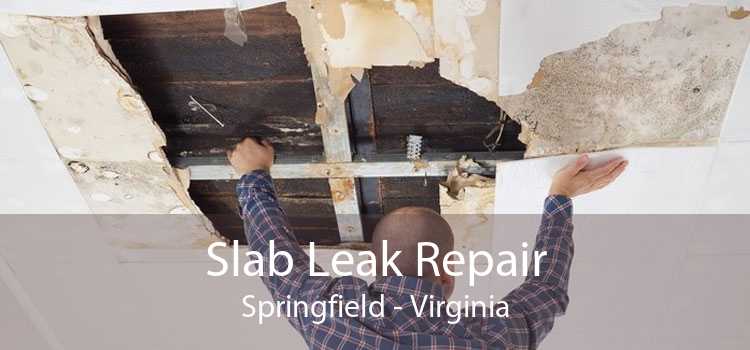 Slab Leak Repair Springfield - Virginia