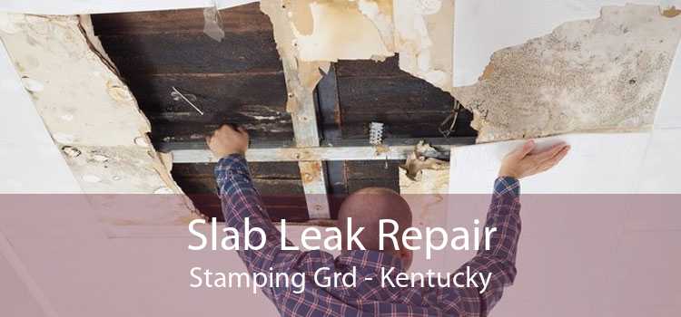 Slab Leak Repair Stamping Grd - Kentucky