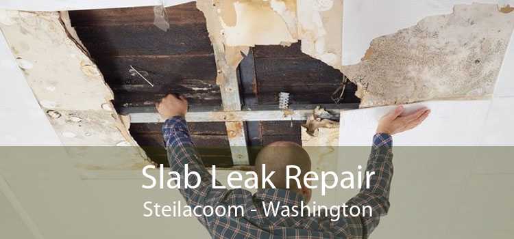 Slab Leak Repair Steilacoom - Washington