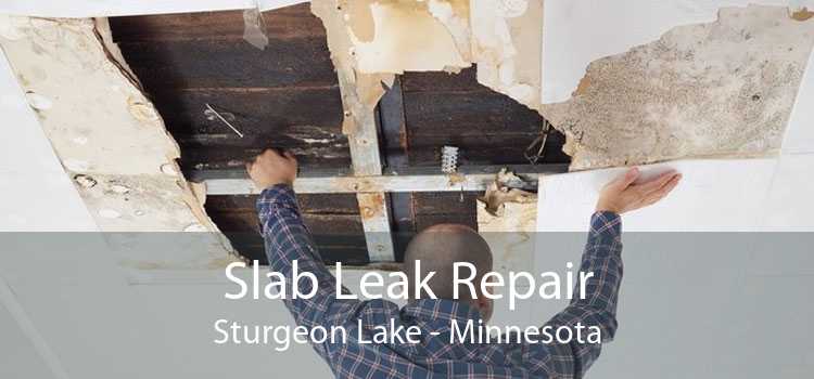 Slab Leak Repair Sturgeon Lake - Minnesota