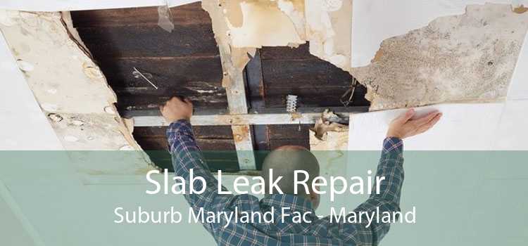 Slab Leak Repair Suburb Maryland Fac - Maryland