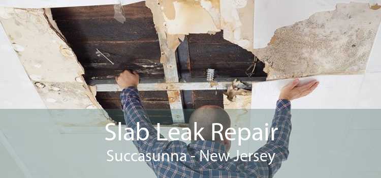 Slab Leak Repair Succasunna - New Jersey