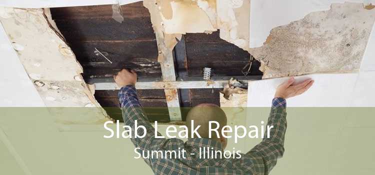 Slab Leak Repair Summit - Illinois