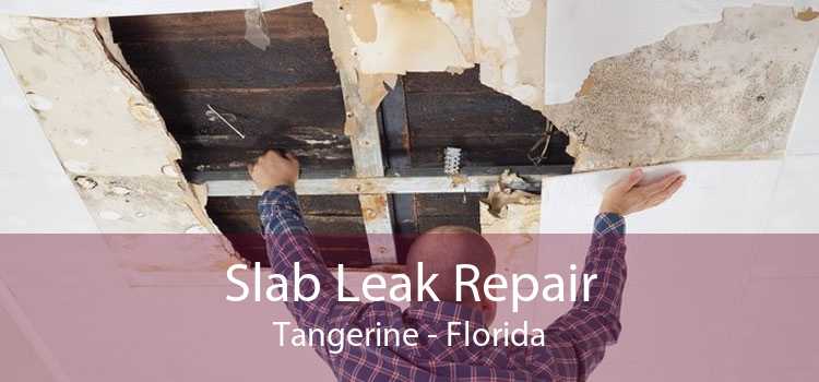 Slab Leak Repair Tangerine - Florida
