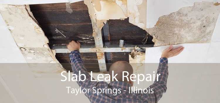 Slab Leak Repair Taylor Springs - Illinois