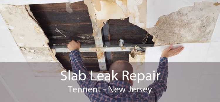 Slab Leak Repair Tennent - New Jersey