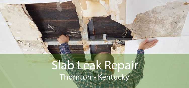 Slab Leak Repair Thornton - Kentucky