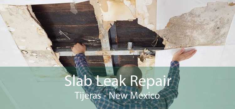 Slab Leak Repair Tijeras - New Mexico