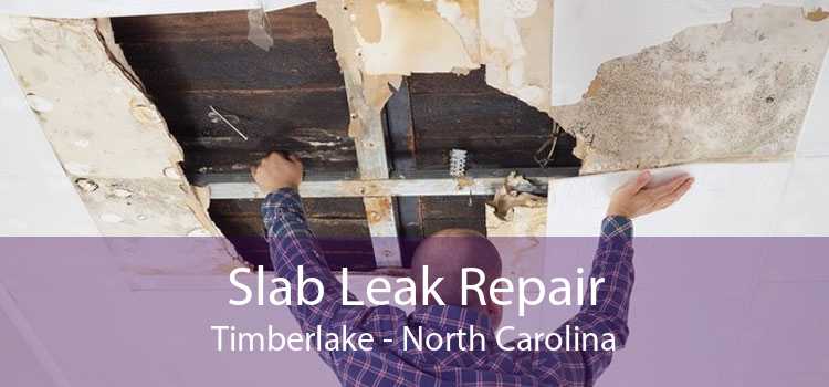 Slab Leak Repair Timberlake - North Carolina