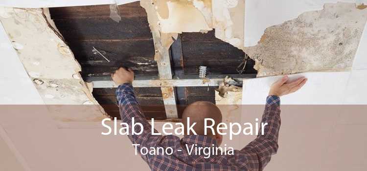Slab Leak Repair Toano - Virginia