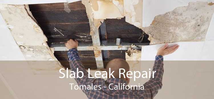 Slab Leak Repair Tomales - California
