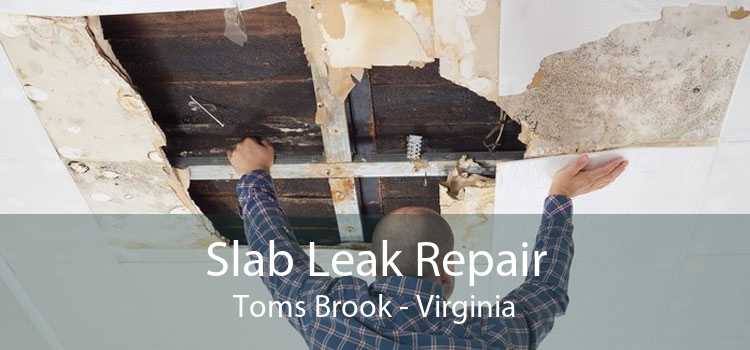 Slab Leak Repair Toms Brook - Virginia