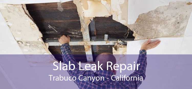 Slab Leak Repair Trabuco Canyon - California