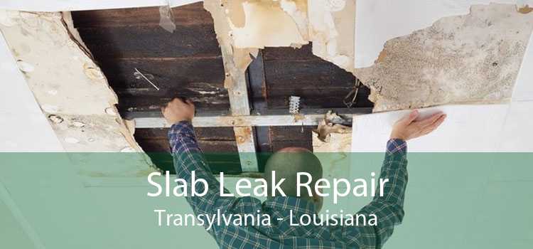 Slab Leak Repair Transylvania - Louisiana