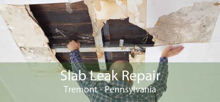 Slab Leak Repair Tremont - Pennsylvania