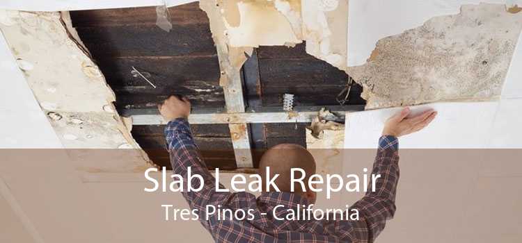 Slab Leak Repair Tres Pinos - California