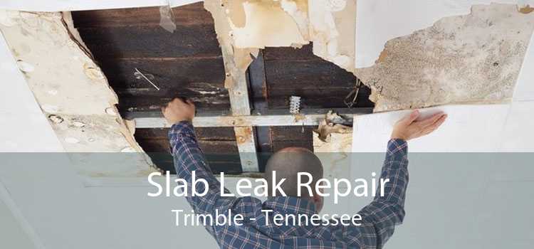 Slab Leak Repair Trimble - Tennessee